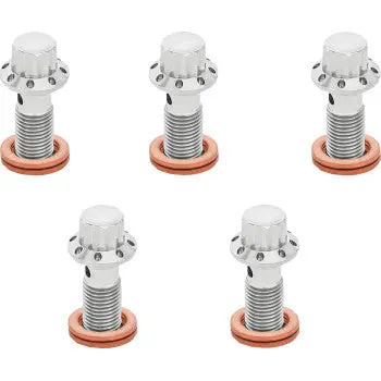 Arlen Ness Bolt Banjo 5-Pk 12 Point 3/8-24 Polished 300-854 1