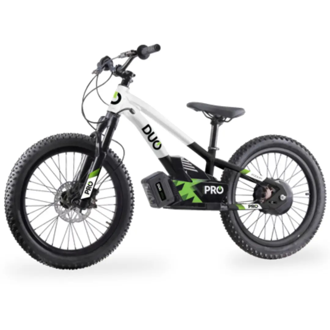 Ride Duo 16" Master Pro Electric Kids Bike 1