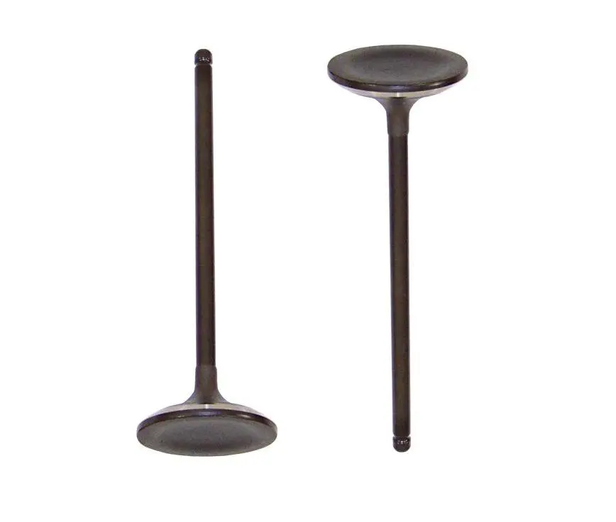 Dnj J-Series 36Mm Intake Valves 1