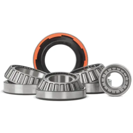 Spicer Select™ Differential Carrier Bearing Kits 1