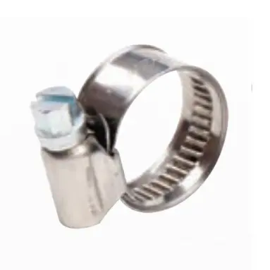 Zinc Plated Hose Cramps 1