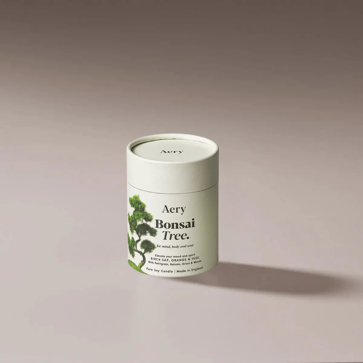 Aery Living: Botanical 200G Soy Candle - Bonsai Tree 1