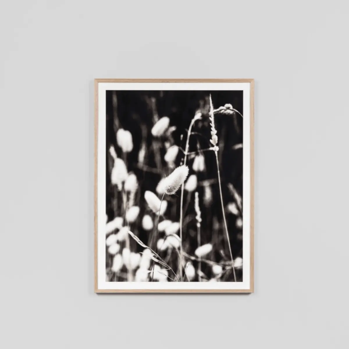 Autumn Grass Raw 1