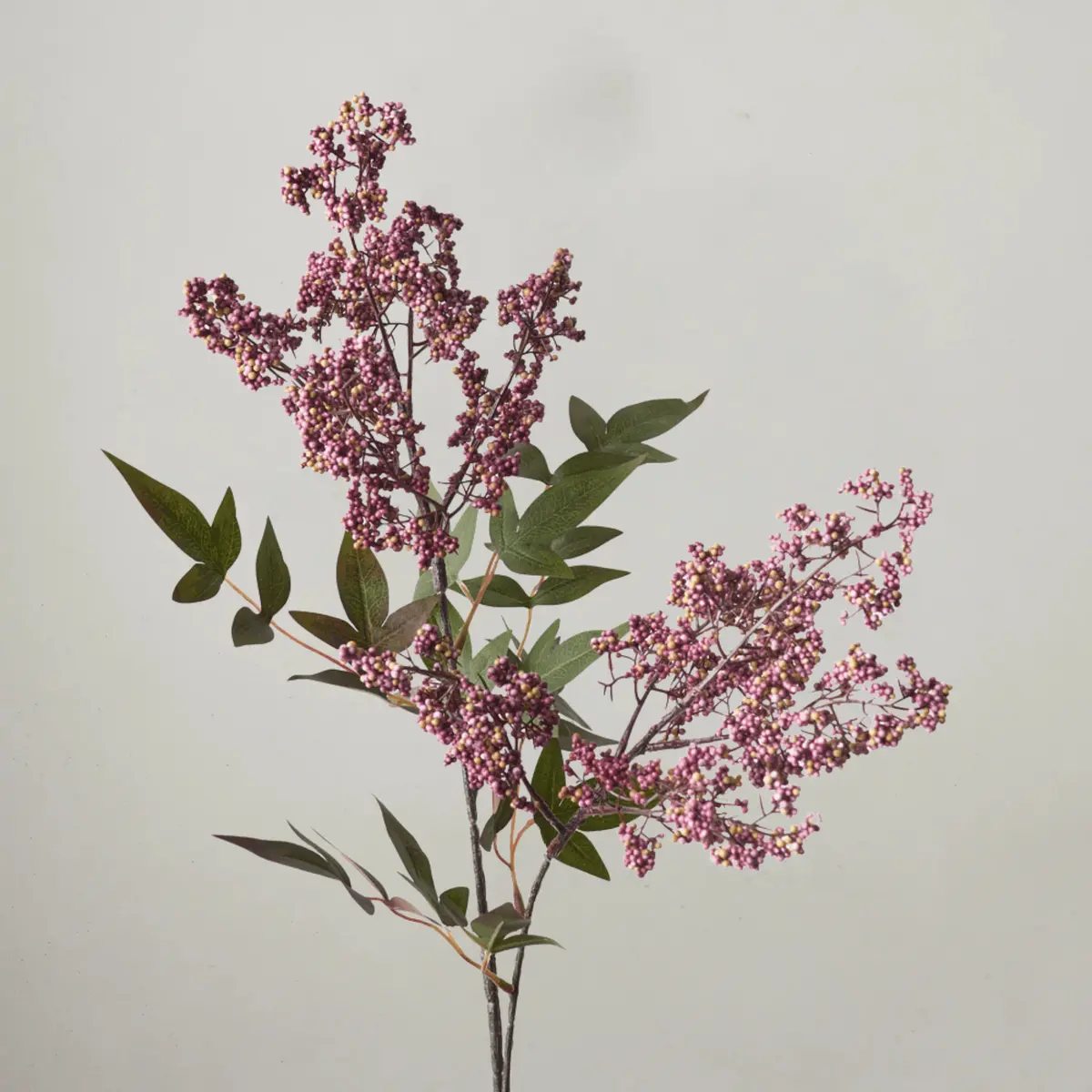 Berry Pepper Spray - Pink Burgundy 60Cm 1