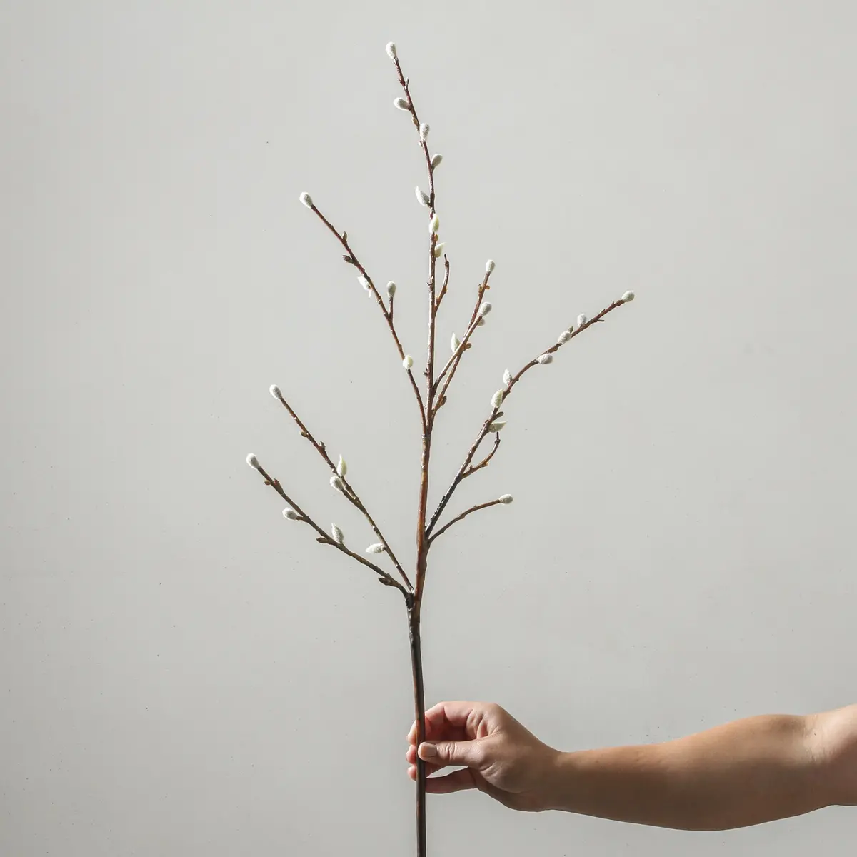 Branch 110Cm White 1