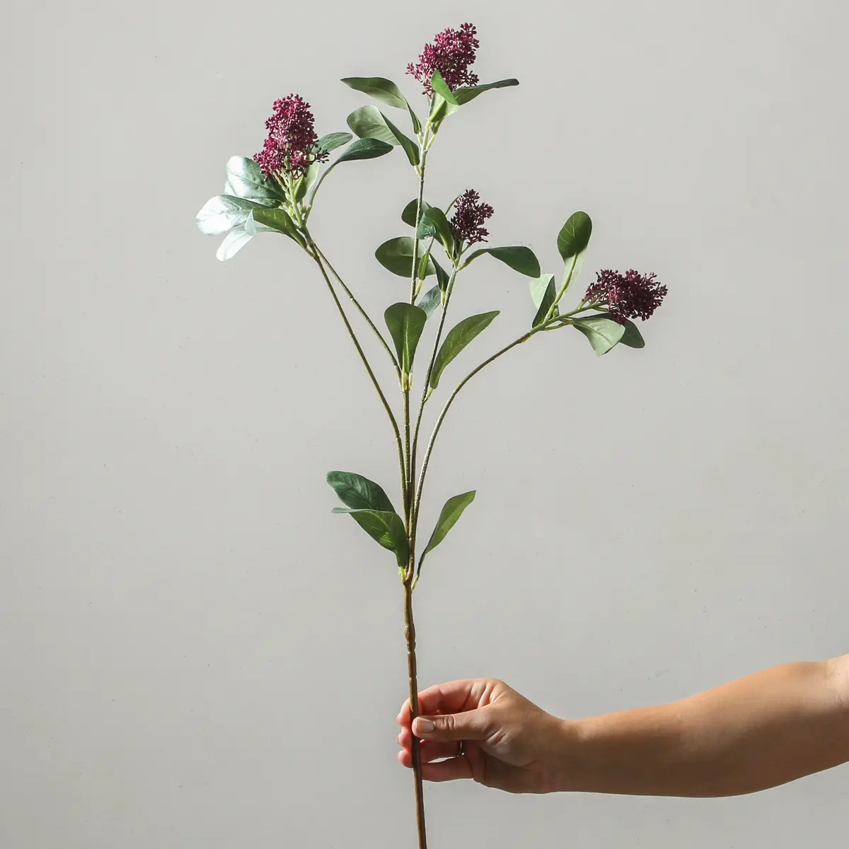 Branch 81Cm Purple 1