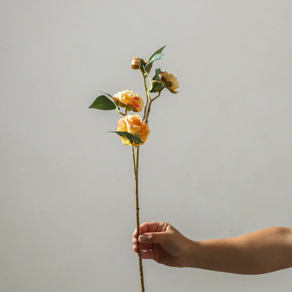 Camellia 66Cm Yellow 1