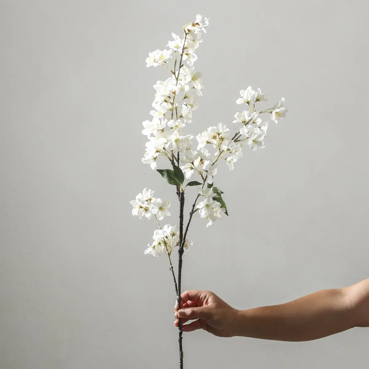 Cherry Blossom 100Cm White 1