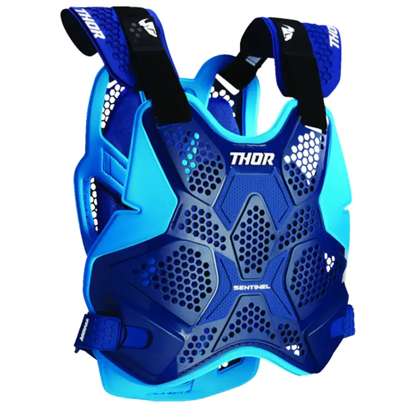 Thor Sentinel Pro Blue Armour 1