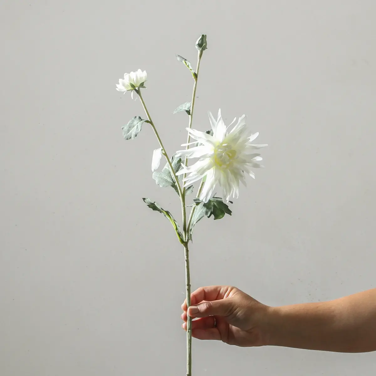 Chrysanthemum 72Cm White 1
