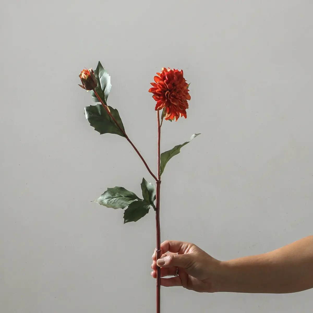Dahlia 68Cm Orange 1