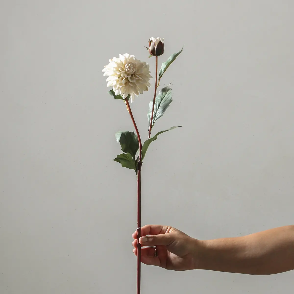 Dahlia 68Cm White 1