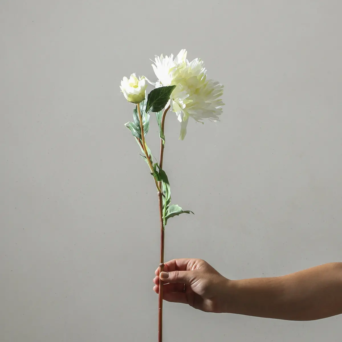 Dahlia 71Cm White 1