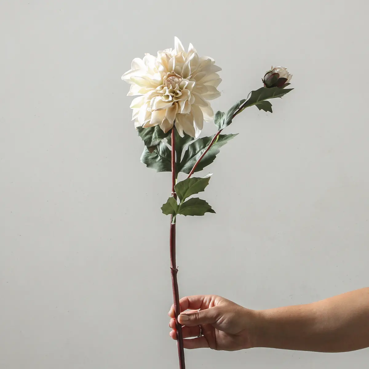 Dahlia 80Cm White 1