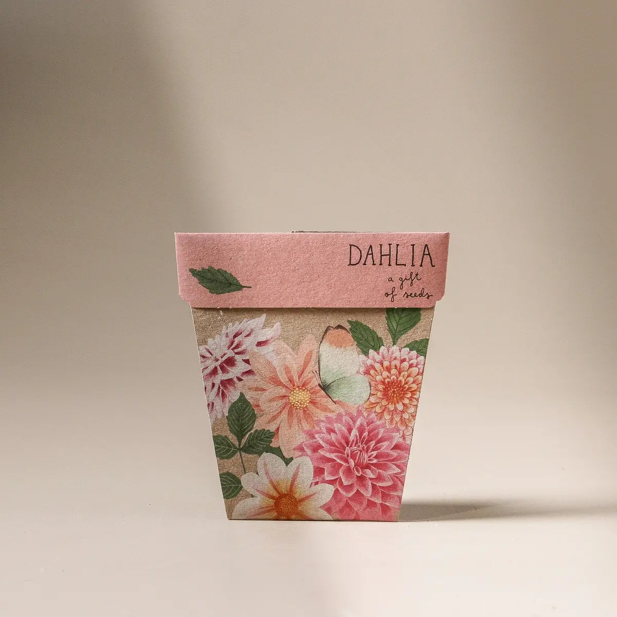Dahlia Gift Of Seeds 1