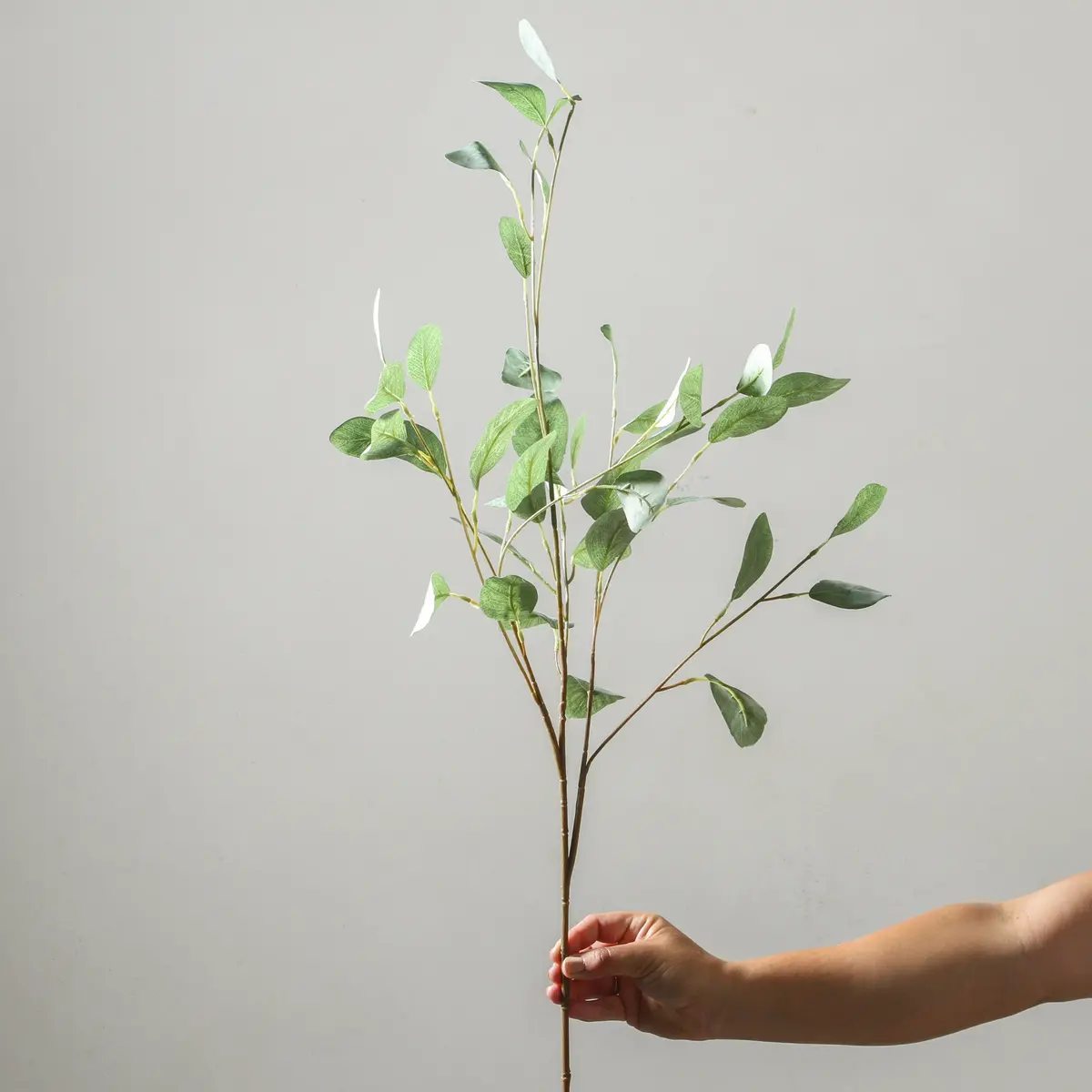 Eucalypt Leaf Branch 95Cm Green 1