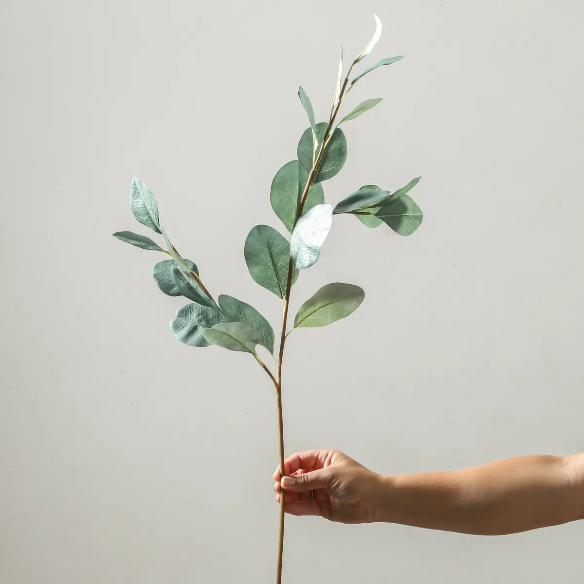 Eucalyptus Branch 90Cm Green 1