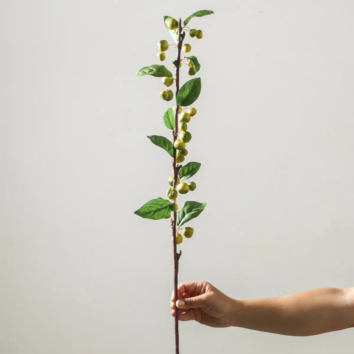 Green Berry Branch 94Cm Green 1