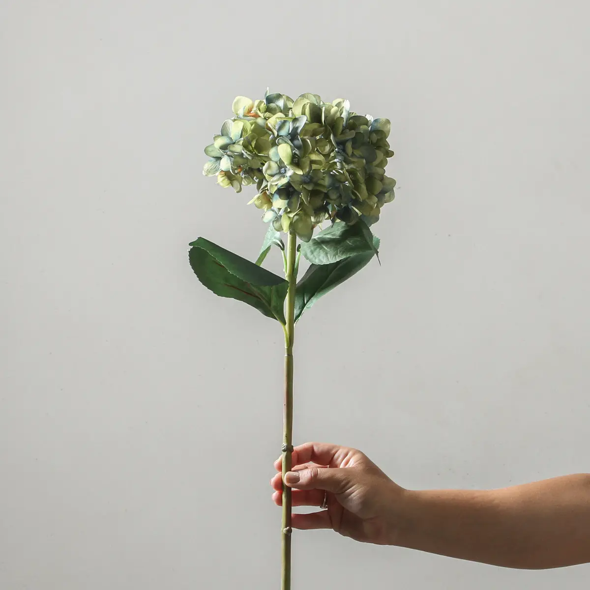 Hydrangea 72Cm Blue/Green 1