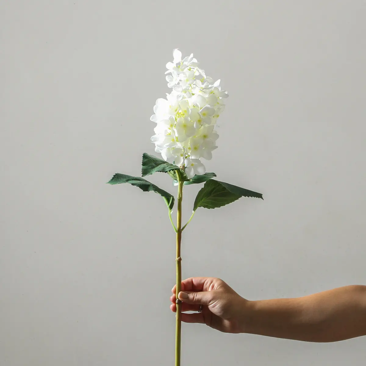 Hydrangea 74Cm White 1