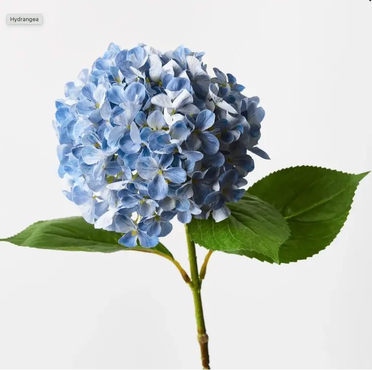 Hydrangea - Blue 68Cm 1
