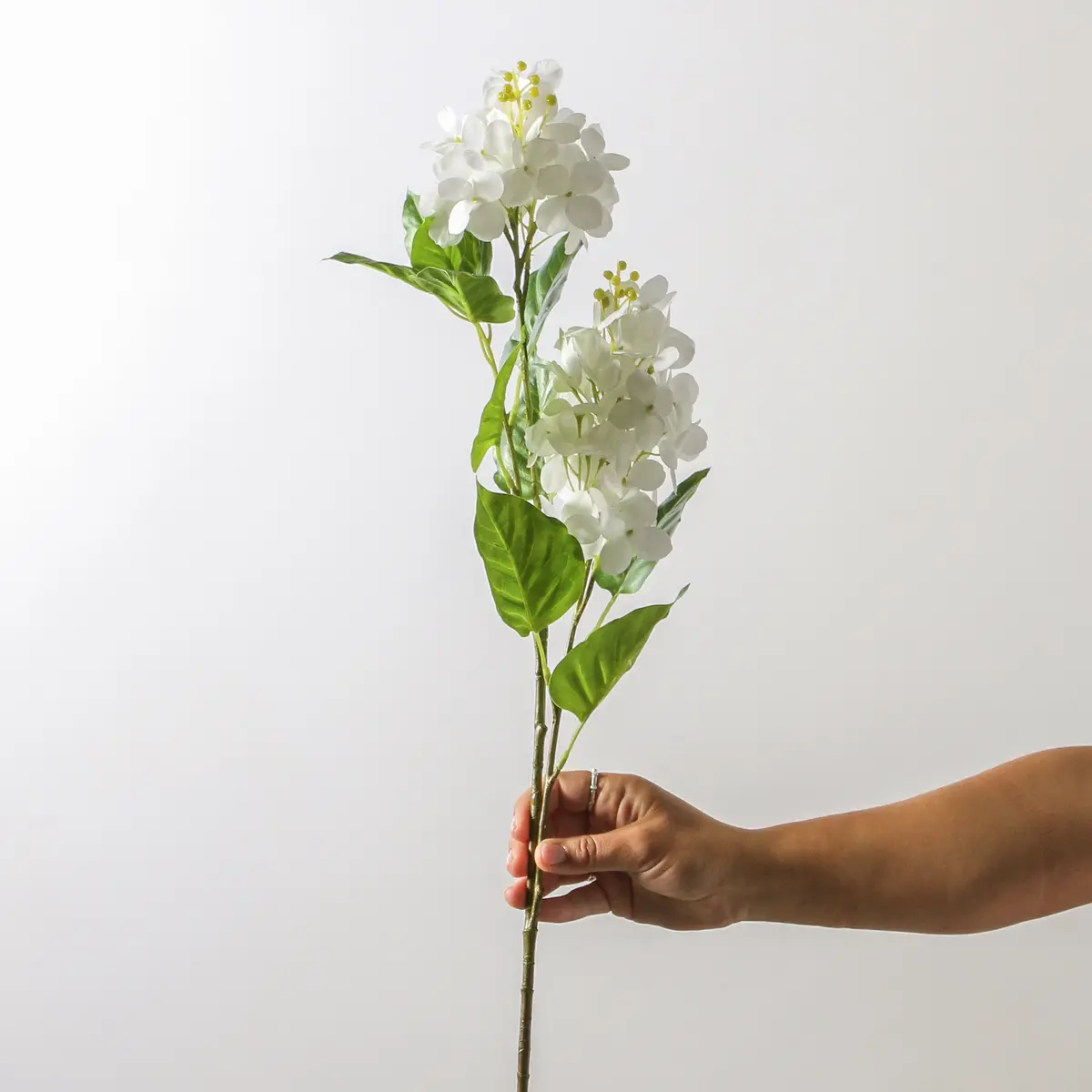 Hydrangea Spray - White 74 Cm 1