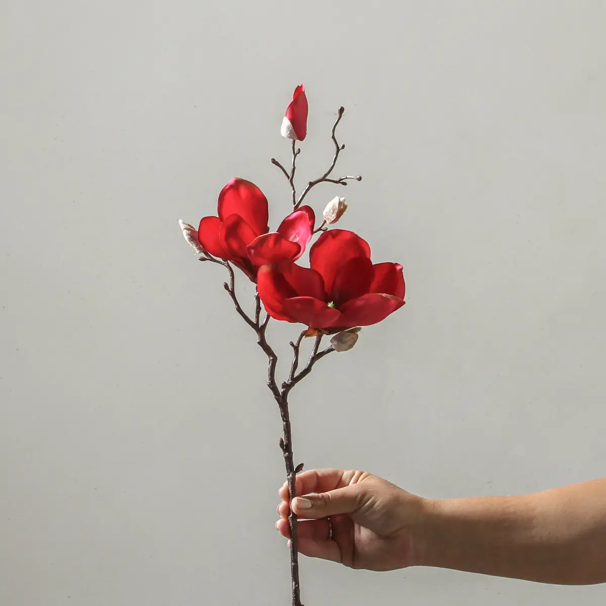 Magnolia 50Cm Red 1