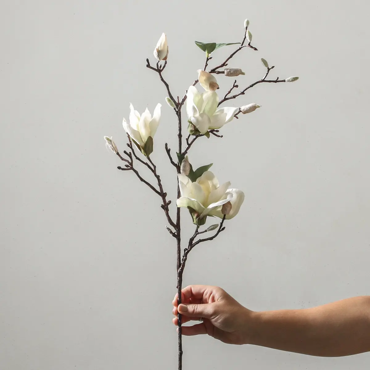 Magnolia 87Cm White 1