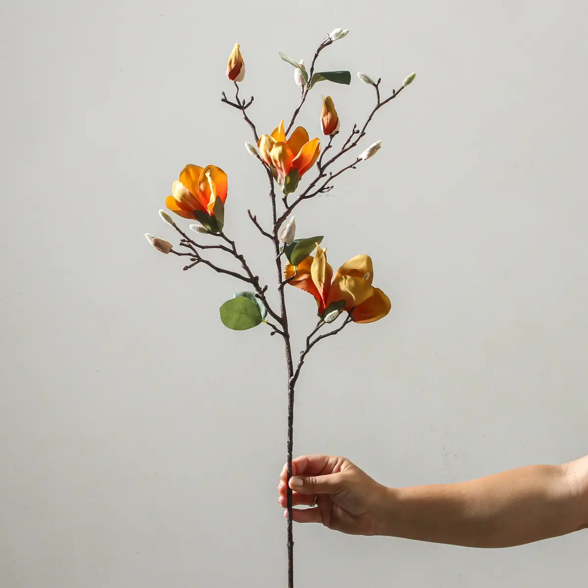 Magnolia 87Cm Yellow 1
