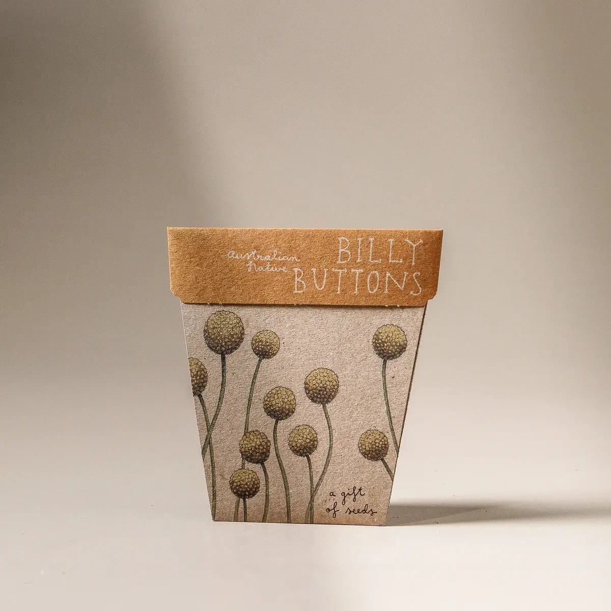Native Billy Button Gift Of Seeds 1
