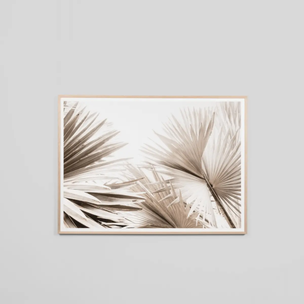 Natural Palm Landscape Raw 150X112 1