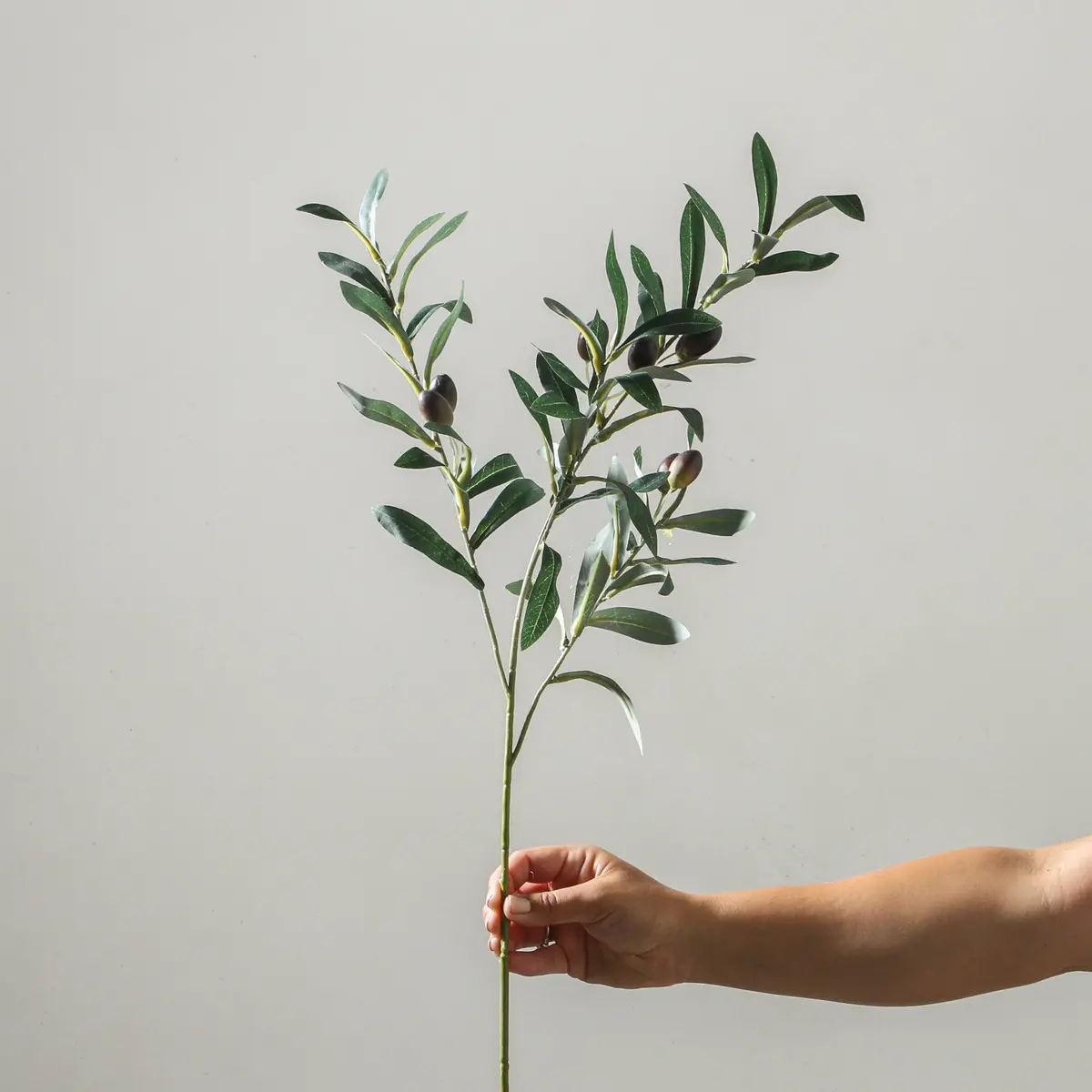 Olive Branch 74Cm Green 1