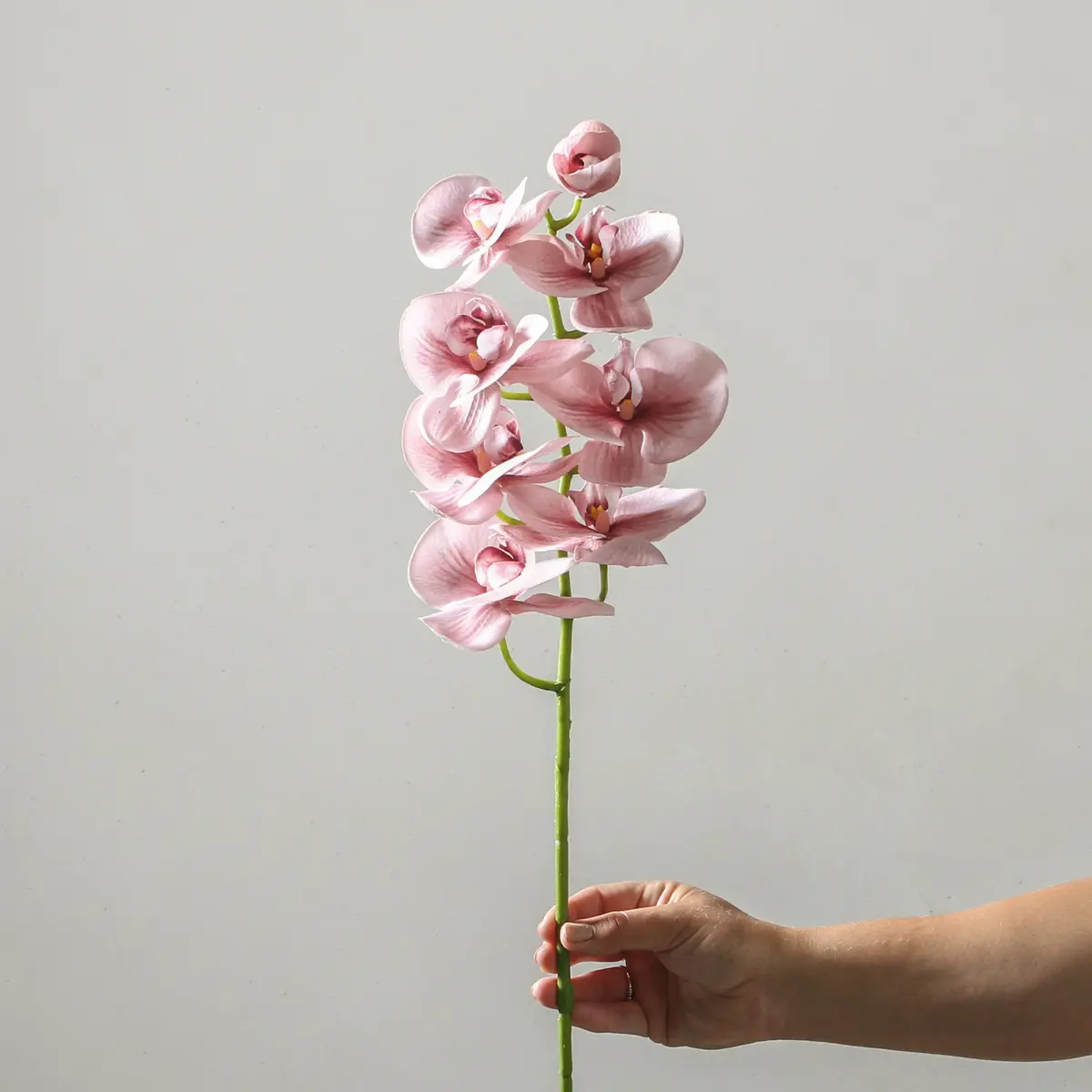Orchid Phalaenopsis Spray - Dusty Pink 92Cm 1