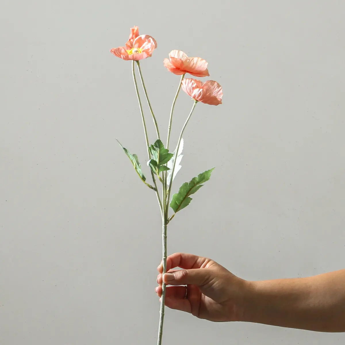 Poppy 58Cm Peach 1