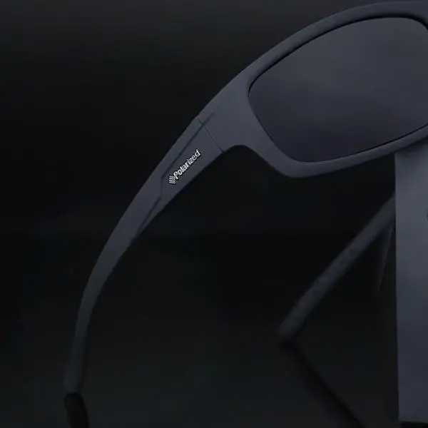 Polarized Sunglasses Men 1