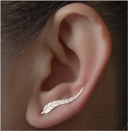 2017 Vintage Jewelry Exquisite Leaf Earrings Modern Beautiful Feather Stud Earrings For Women 1
