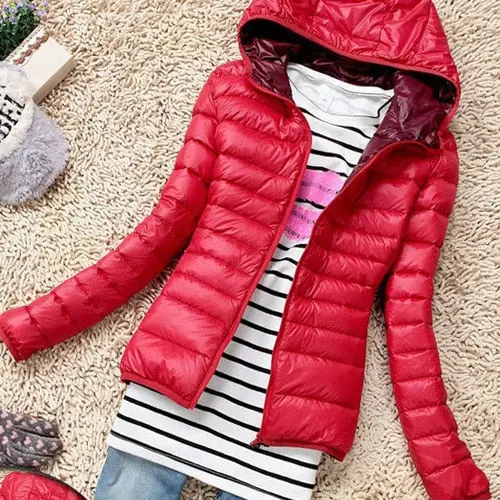Stylish 2017 slim-fit down coat for women — a short, warm, cotton-padded winter jacket featuring a clean solid design and secure zipper closure. - Image 6