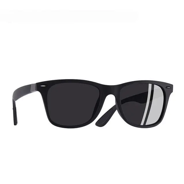Classic Polarized Sunglasses 2