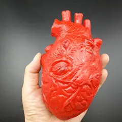 Halloween Horror Props Bloody Hand Haunted House Party Decoration Scary Hand Finger Leg Foot Brain Heart Hot 7