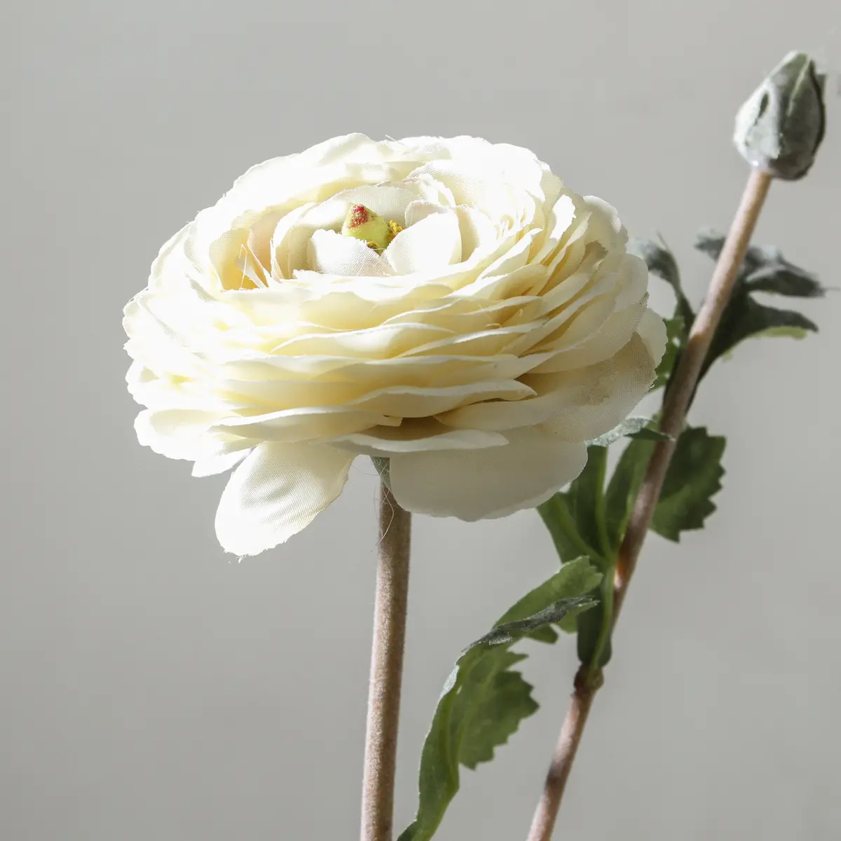 Ranunculus 68Cm White 2