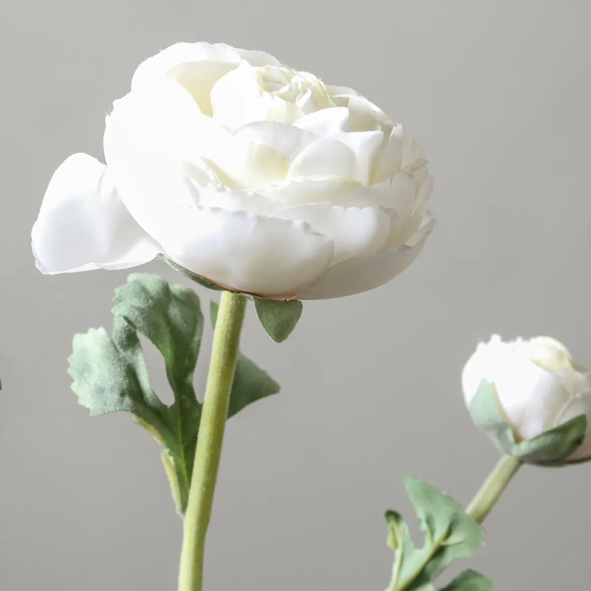 Ranunculus 73Cm Cream 2