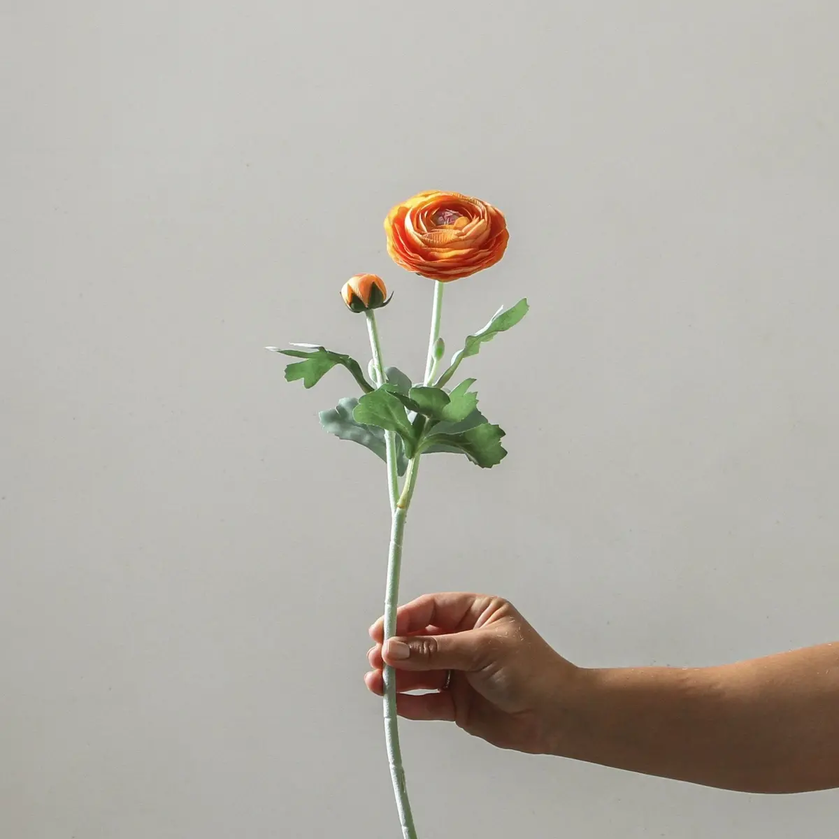 Ranunculus Spray - Orange 50Cm 1