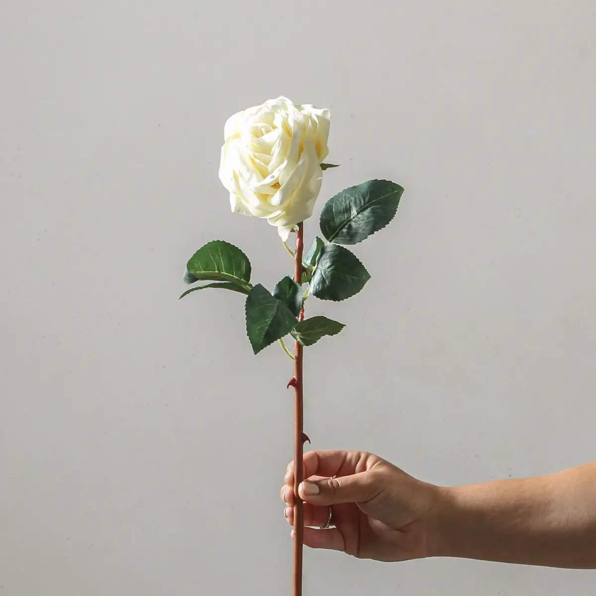 Rose 52Cm White 1