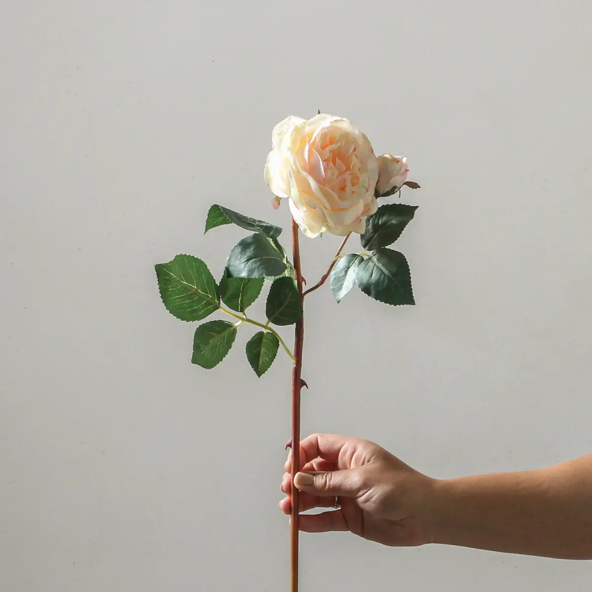 Rose 53Cm Soft Pink 1
