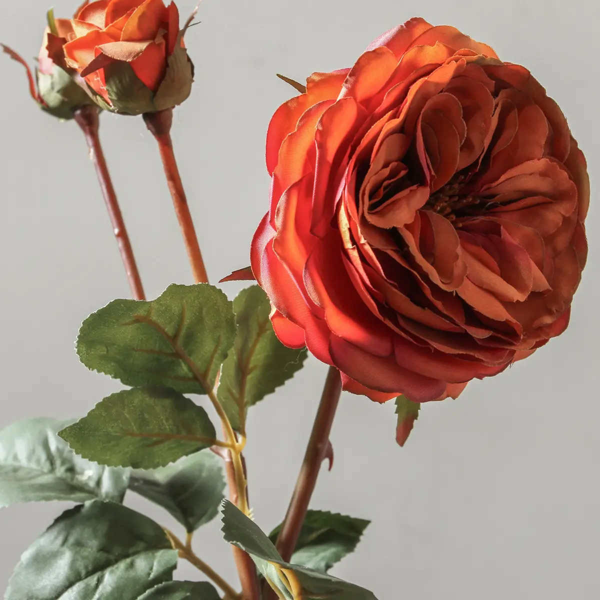 Rose 55Cm Burnt Orange 2
