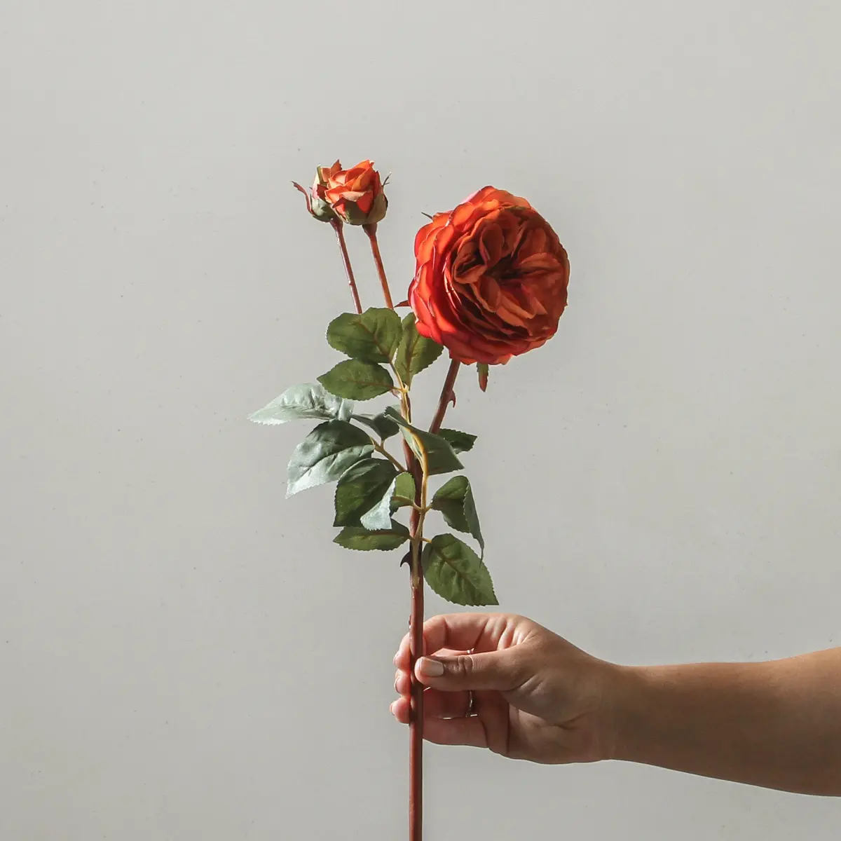 Rose 55Cm Burnt Orange 1