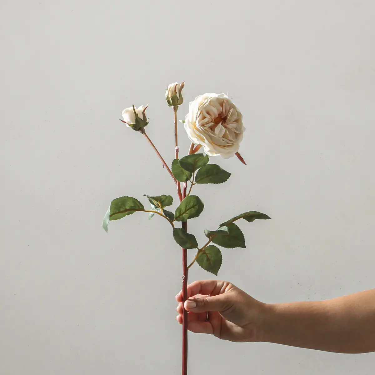 Rose 55Cm White 1