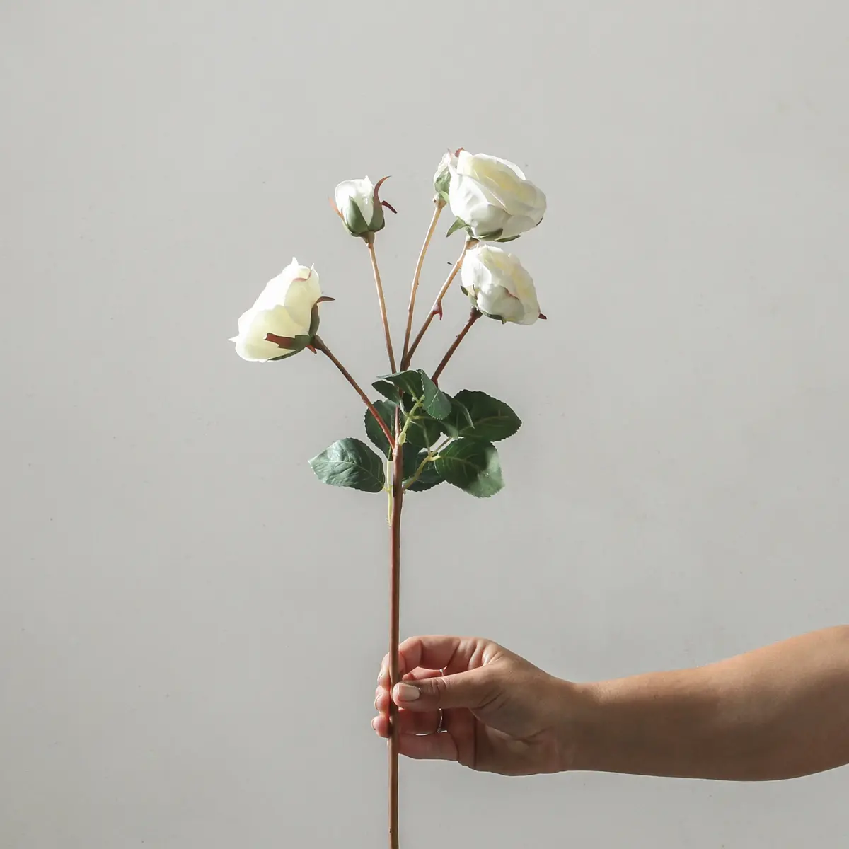 Rose 57Cm White 1