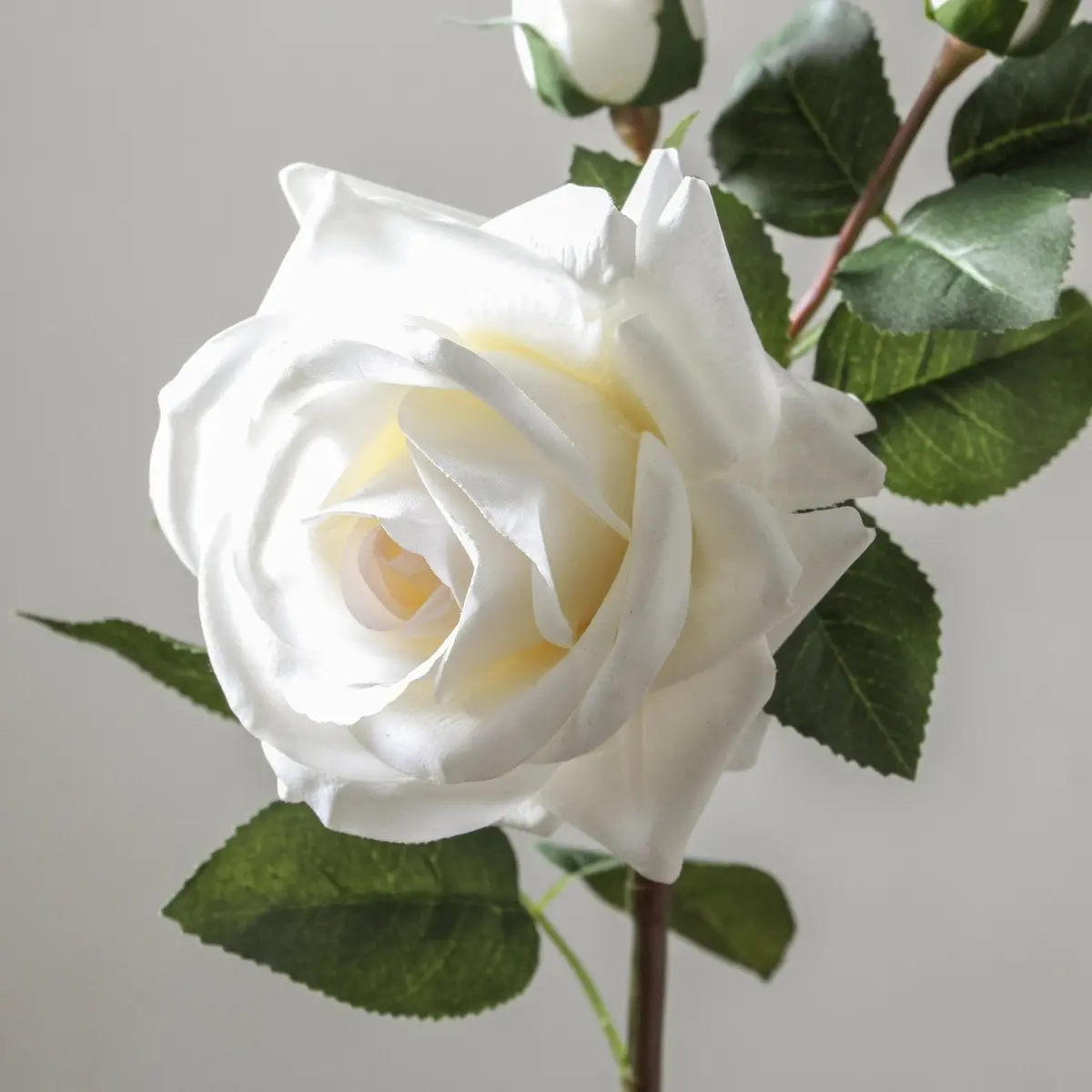 Rose Lisa Spray Sp Ivory 56Cm 2
