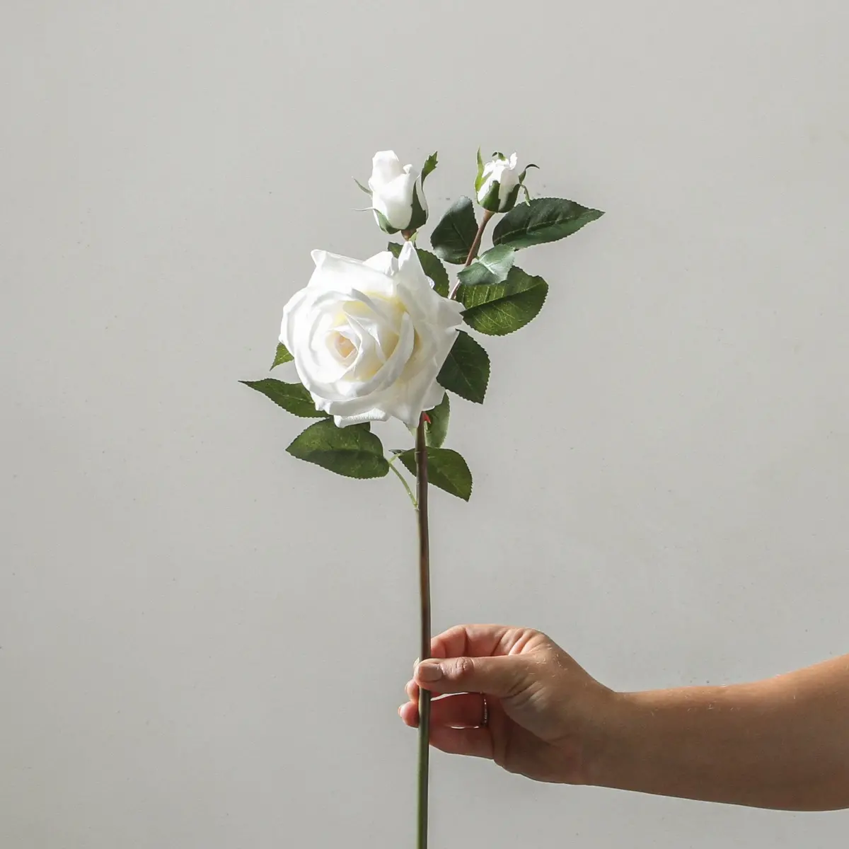 Rose Lisa Spray Sp Ivory 56Cm 1